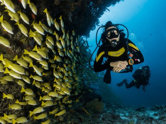 Antalya Dalış Turu Fiyatları ve Rezervasyon