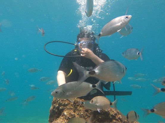 Scuba Diving Dalış Nedir?