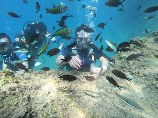 Tüpü ve Serbest Dalış, Antalya'da dalış