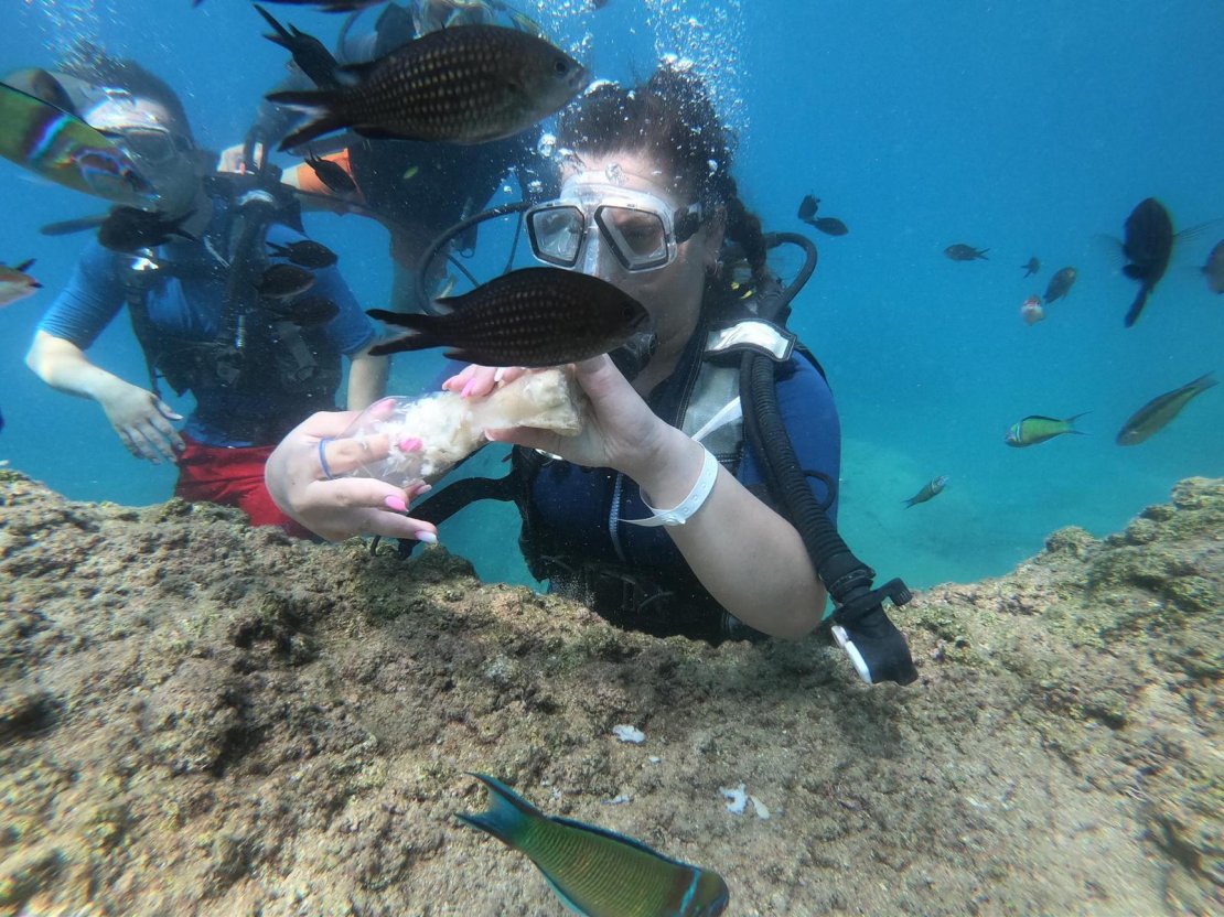 En Uygun Kemer Scuba Dving Turu ve Ücretleri