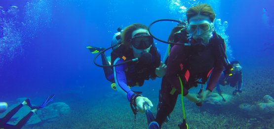 Самые доступные цены на дайвинг-туры в Анталии.