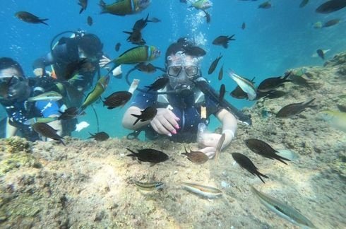 🌊 Tauchen In Antalya Mit Transfer Von Boğazkent