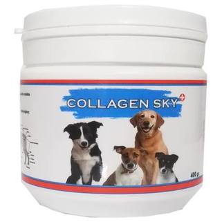 Collagen Sky 400Gr3