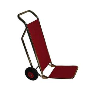 Katlanır valiz taşıma pirinç b