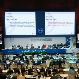 41. Dünya Miras Komitesi Toplantısı (2017, Krakow)