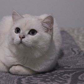 Antalya Psikiyatri Merkezi