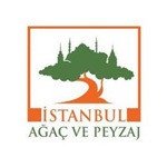 İSTANBUL AĞAÇ VE PEYZAJ