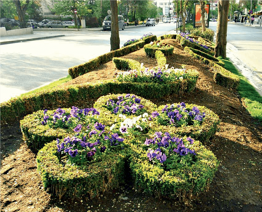 Peyzaj Bakım ve Onarım
