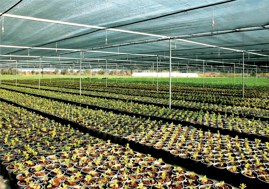 Seracılık ve Fidanlık