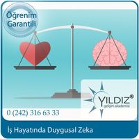 - iş hayatında duygusal zeka