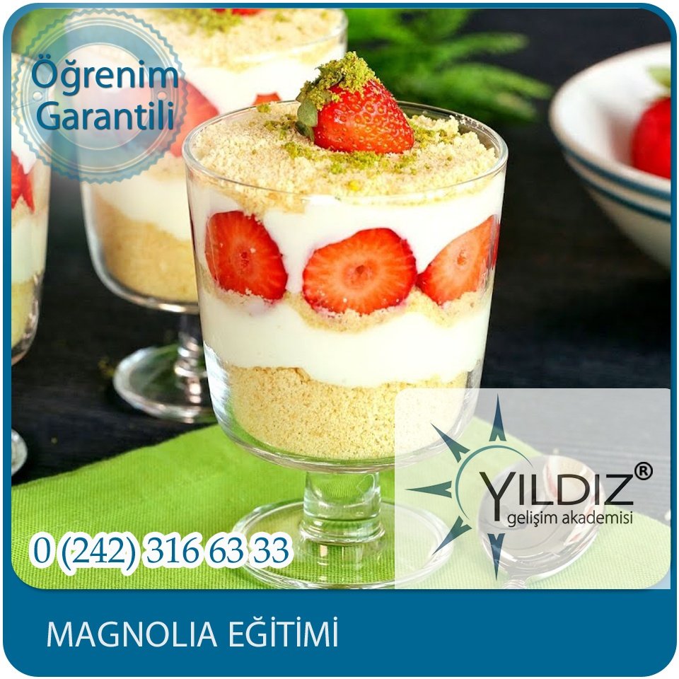 7 Magnolia Eği̇ti̇mi̇