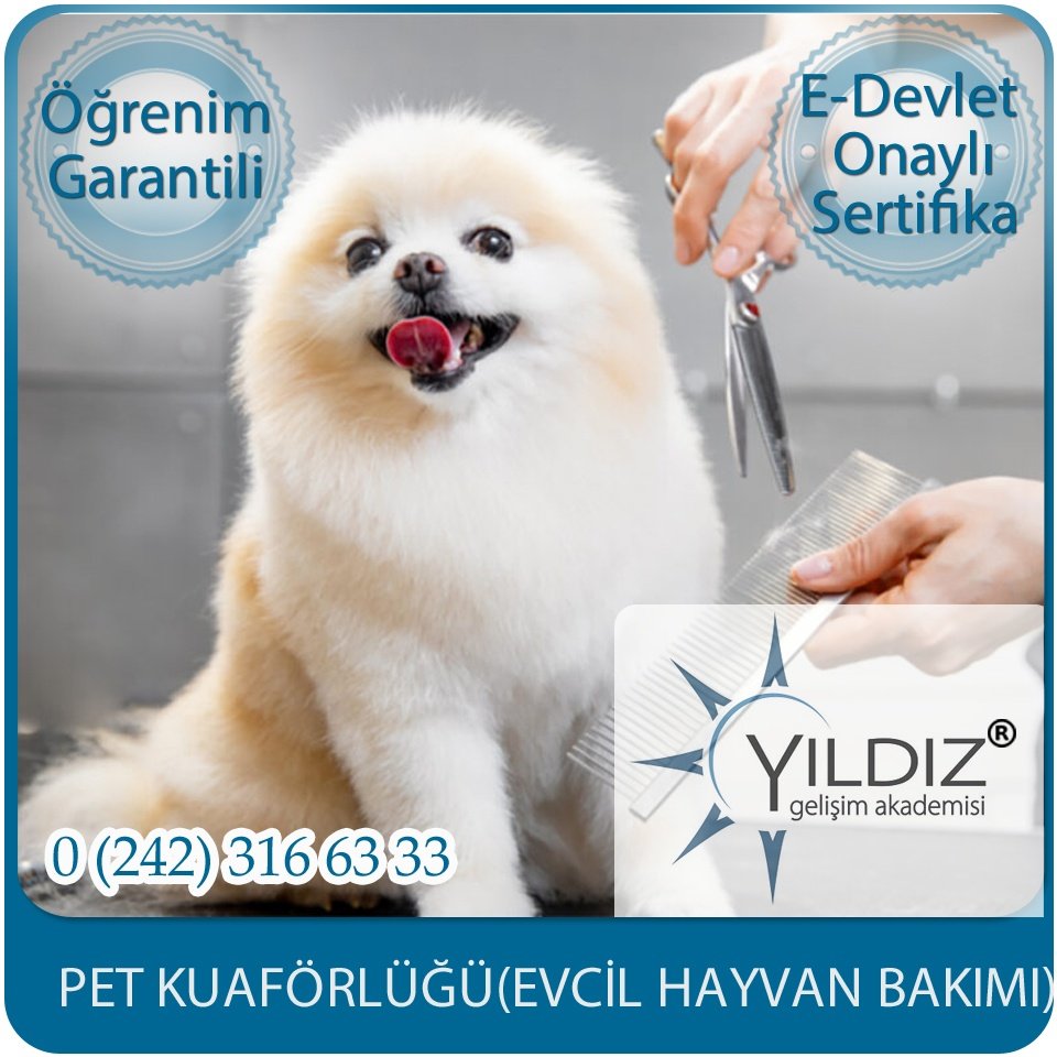 Pet Kuaförlüğü 2