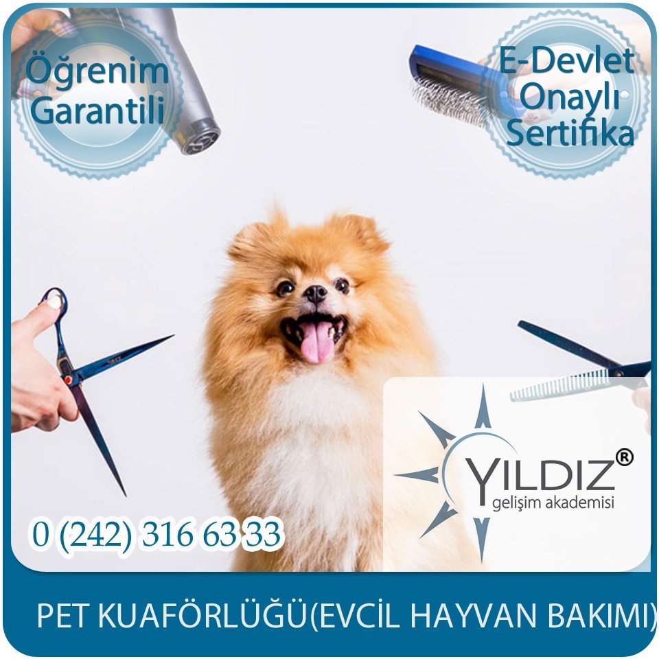 Pet Kuaförlüğü