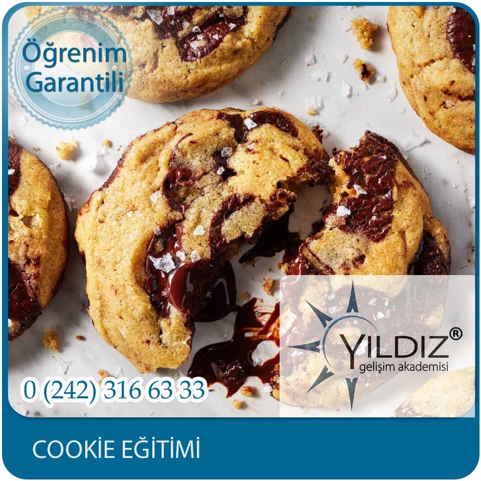 Cookie Eğitimi