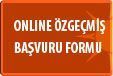 online özgeçmiş formu buton