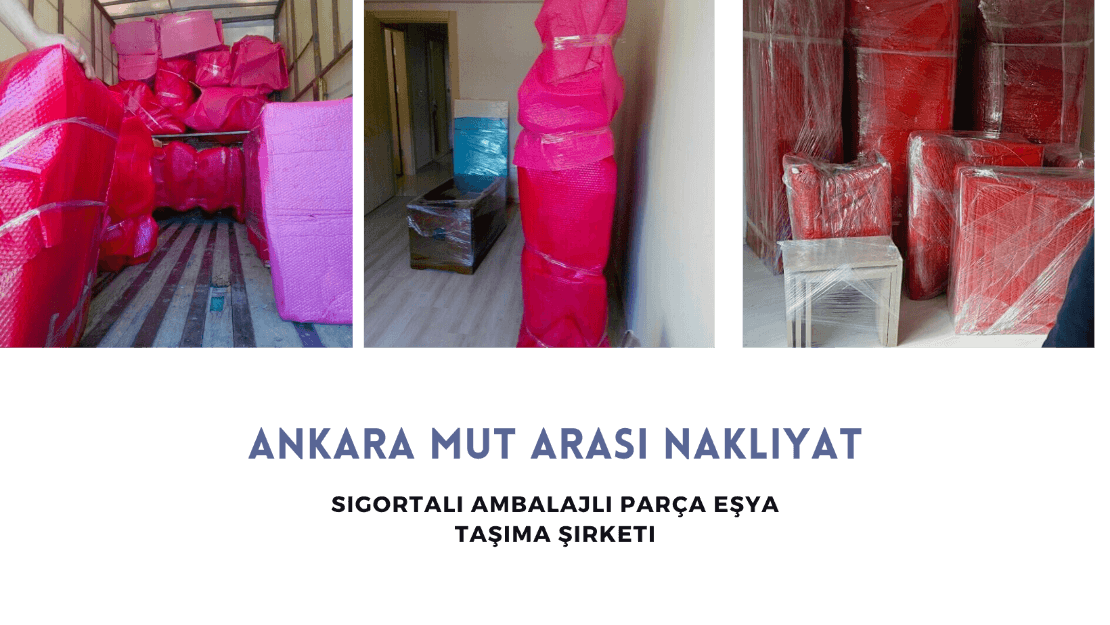 ankara mut arasi nakliyat