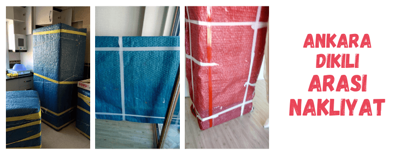 ankara dikili arasi tasima