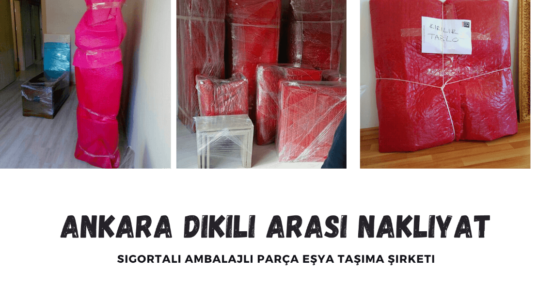 ankara diki arasi tasimacilik