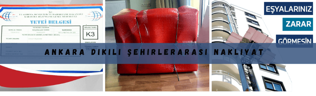 ankara dikili arasi nakliyat