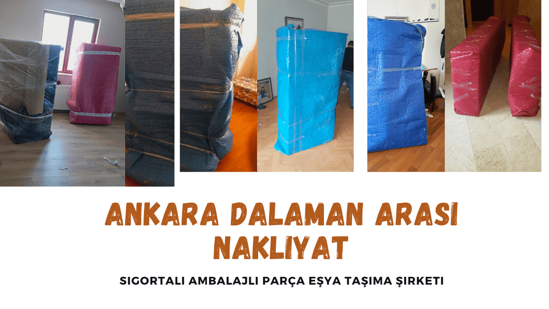 ankara dalaman arasi nakliyat