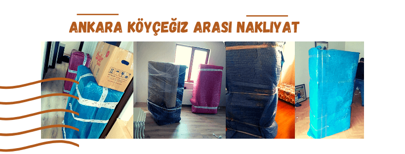 ankara koycegiz nakliyat sirketi