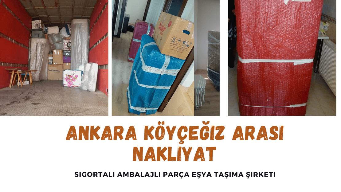 ankara koycegiz tasimacilik