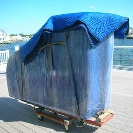 piyono_tasima_foto_1