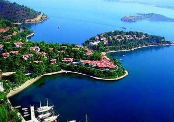 Aydın Didim Evden Eve Nakliyat | 444 3 972