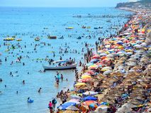 İstanbul Ayvalık Nakliyat | 444 3 972