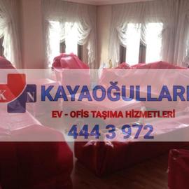 Kayaoğulları Nakliyat
