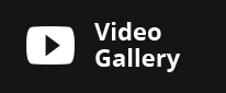 video-gallery