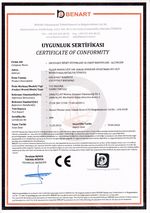 co 2 efekt makinaları uygunluk beyanı