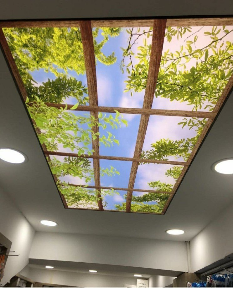 WhatsApp Image 2022-01-18 at 23.39.25