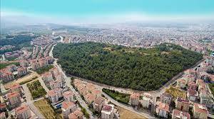 Nilüfer İstanbul Nakliyat