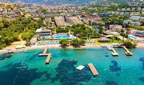 Bodrum Yalıkavak Nakliyat