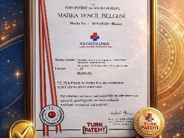 Kayaoğlu Nakliyat | Güven Taşır