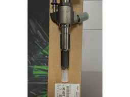 Ford Focus Enjektör