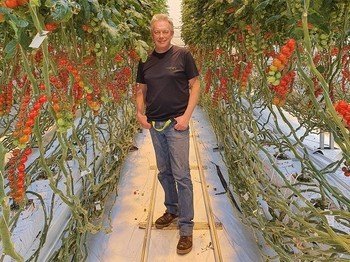 I found it hard to believe that a program could do it better than me