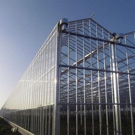 GLASS GREENHOUSE