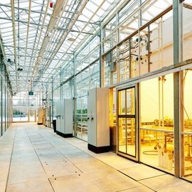 GLASS GREENHOUSE