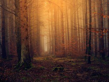 Çift Görme Nedenleri