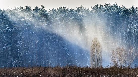 Эксперт предупредил об экологической катастрофе на Украине