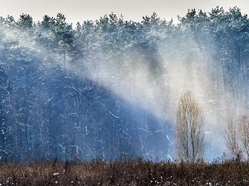 Эксперт предупредил об экологической катастрофе на Украине