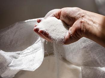 Кабмин РФ выделил 9 млрд рублей производителям сахара и масла