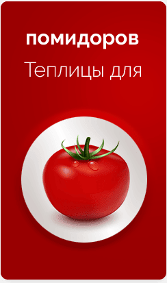 Теплицы-для-помидоров