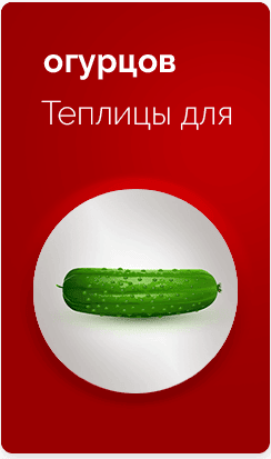 Теплицы-для-огурцов