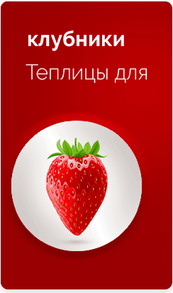 Теплицы-для-клубники