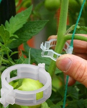 Зажимы-для-растений