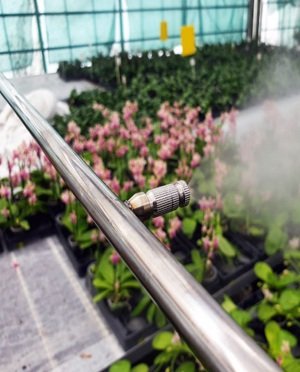 Система-туманообразования