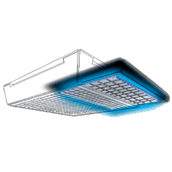 Sports Facilities And Complexes